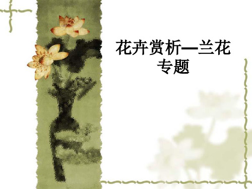 花卉赏析—兰花专题ppt课件