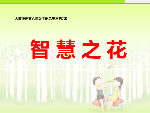 2020年人教版语文六年级下册综合复习 7.智慧之花课件 PPT