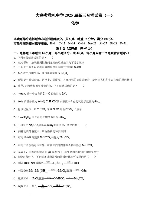 湖南省长沙市雅礼中学2024-2025学年高三上学期月考卷(一)化学试题+答案