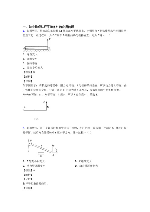 中考物理 杠杆平衡 培优 易错 难题练习(含答案)