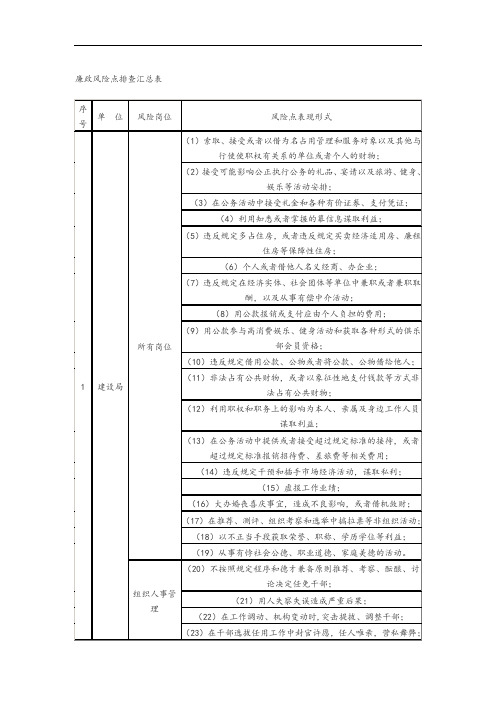 廉政风险点排查汇总情况表格