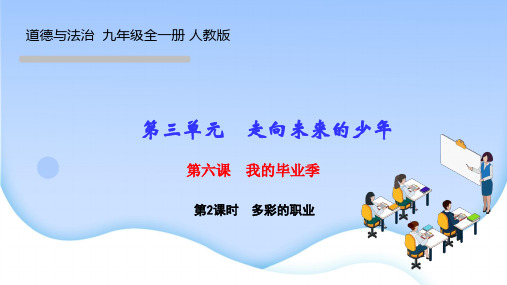 部编人教版九年级下期道德与法治作业课件 第六课 我的毕业季 第2课时 多彩的职业