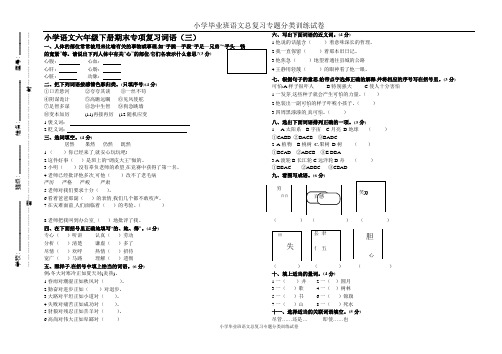 小学毕业班语文总复习专题分类训练试卷：词语(三)