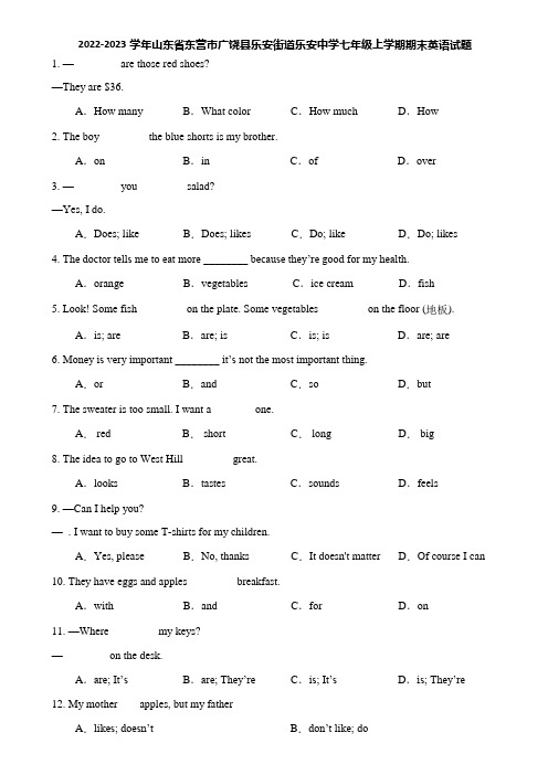 2022-2023学年山东省东营市广饶县乐安街道乐安中学七年级上学期期末英语试题