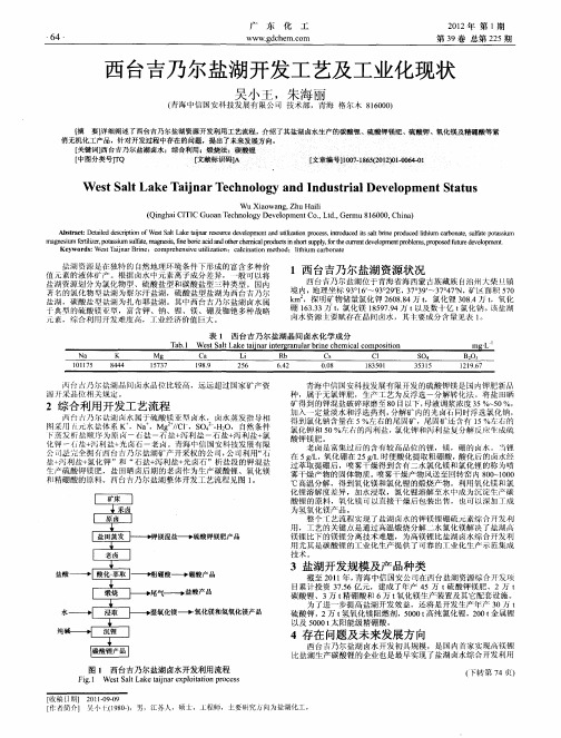 西台吉乃尔盐湖开发工艺及工业化现状