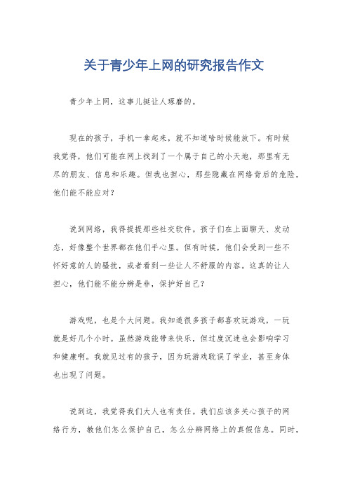 关于青少年上网的研究报告作文