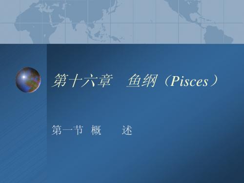 鱼纲(Pisces)