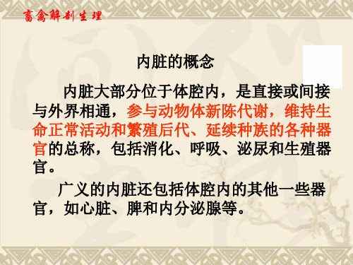 畜禽解剖生理第4章 内脏概述、第5章 消化系统