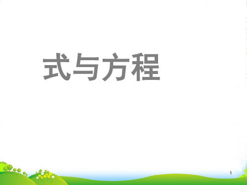 北师大版六年级下册数学课件《式与方程》(11) (共19张PPT)