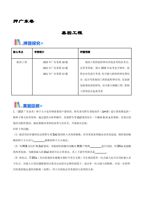 押广东卷第20题 基因工程(原卷版)