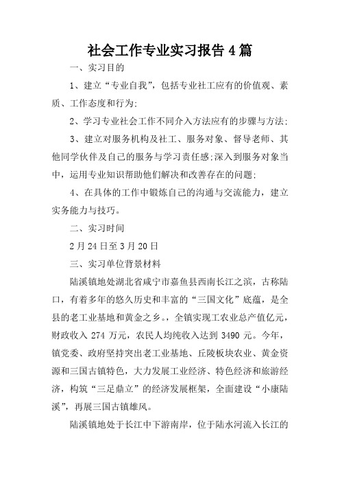 社会工作专业实习报告4篇