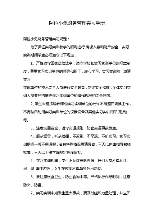 阿拉小兔财务管理实习手册