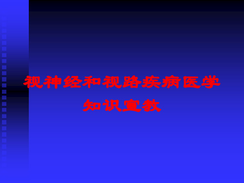 视神经和视路疾病医学知识宣教培训课件