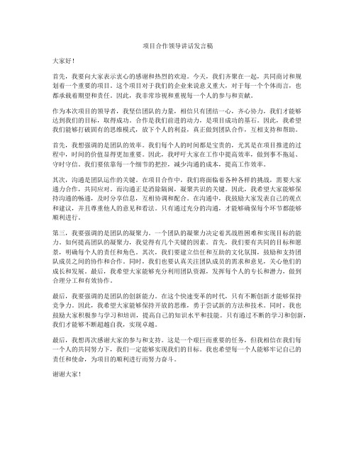 项目合作领导讲话发言稿