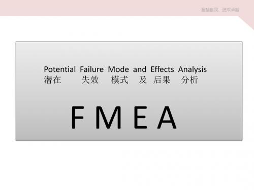 FMEA简介和案例说明