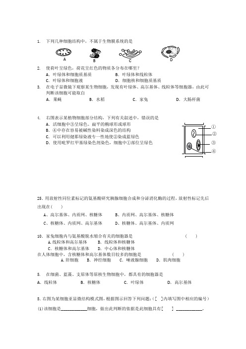 细胞细胞器练习题