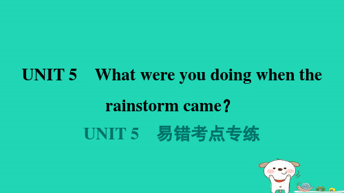 八年级英语下册Unit5易错考点专练课件新版人教新目标版