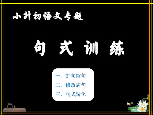 六年级下册小升初专题：句式训练(扩句缩句+修改病句+句式转换)课件(共31张PPT)