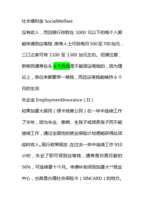 社会福利金Social Welfare