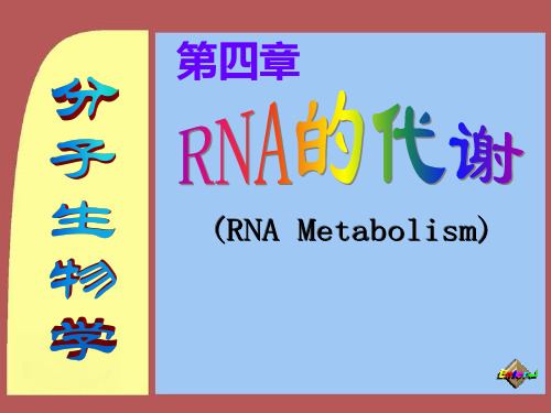 分子生物学转录