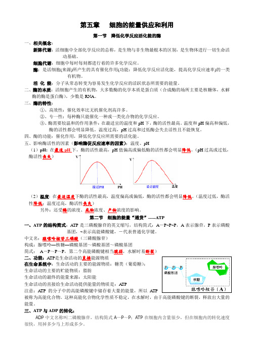 人教版生物必修一第五六章知识点