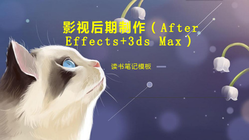 影视后期制作(After Effects 3ds Max)