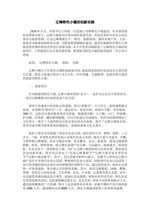 辽峰特色小镇的创新实践