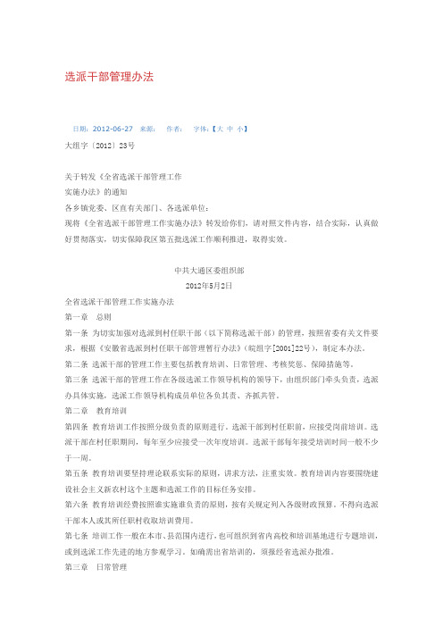 选派干部管理办法