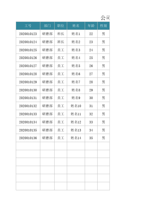 公司在职人员信息一览表