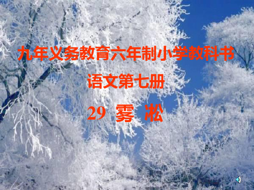 雾淞PPT课件