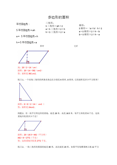 五年级上学期数学 多边形的面积完整题型训练 例题+答案