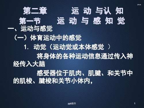 第二章 运动与认知  ppt课件