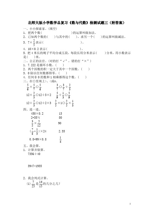 北师大版小升初数学复习数与代数检测试题(附答案)