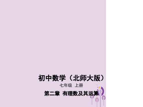 七年级数学上册有理数及其运算1有理数新版北师大版