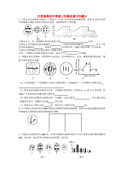 江苏省淮安中学高三生物总复习专题8