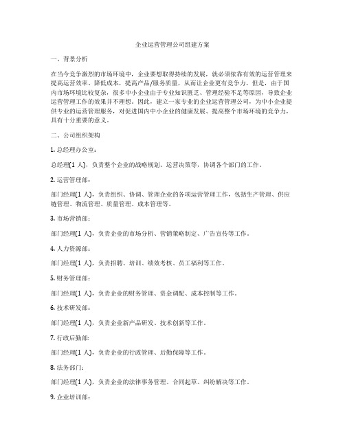 企业运营管理公司组建方案