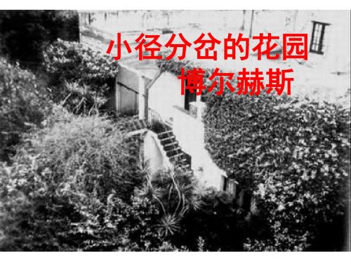 高二语文小径分岔的花园(2019年9月)