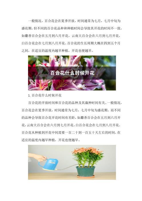 百合花什么时候开花,百合花的图片