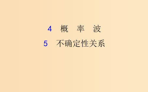 高中物理 第十七章 波粒二象性 17.4-17.5 概率波 不确定性关系 新人教版选修3-5