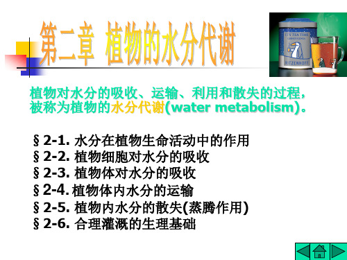 植物生理学  2.水分代谢