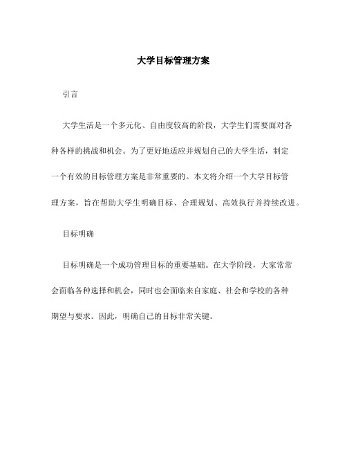 大学目标管理方案