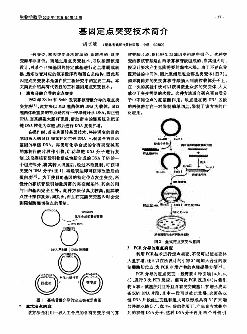 基因定点突变技术简介