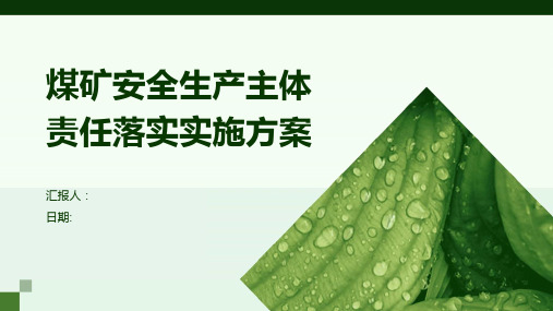 煤矿安全生产主体责任落实实施方案