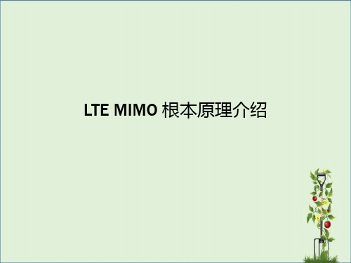 LTE-MIMO-基本原理介绍