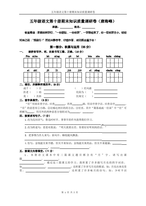 苏教版小学语文第十册期末知识质量调研卷