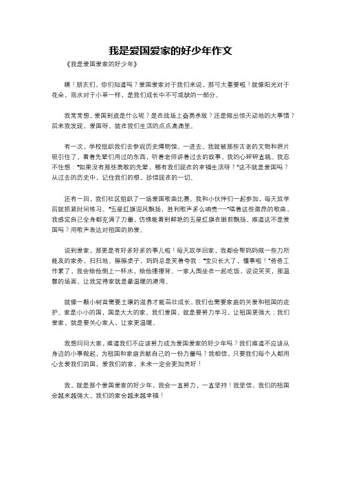 我是爱国爱家的好少年作文