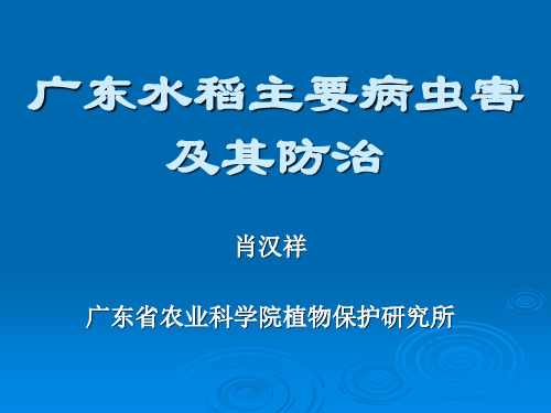 广东常见水稻病虫害种类及防治技术