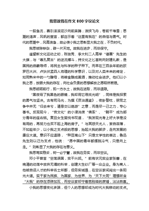 我思故我在作文800字议论文