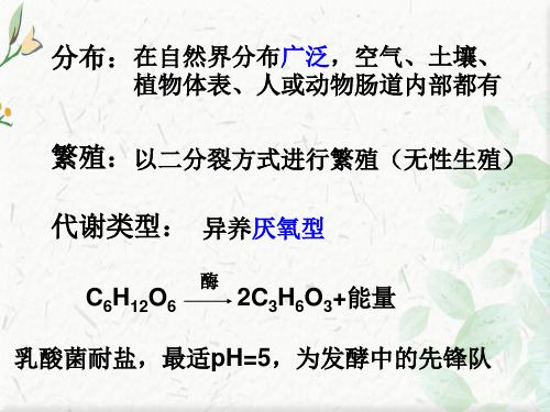 生物选修3泡菜ppt