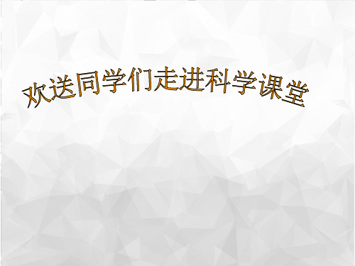 四年级下册科学课件4.1各种各样的岩石教科版(共27张PPT)(小学课件)